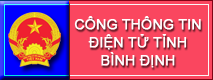 cong thong tin dien tu binh dinh